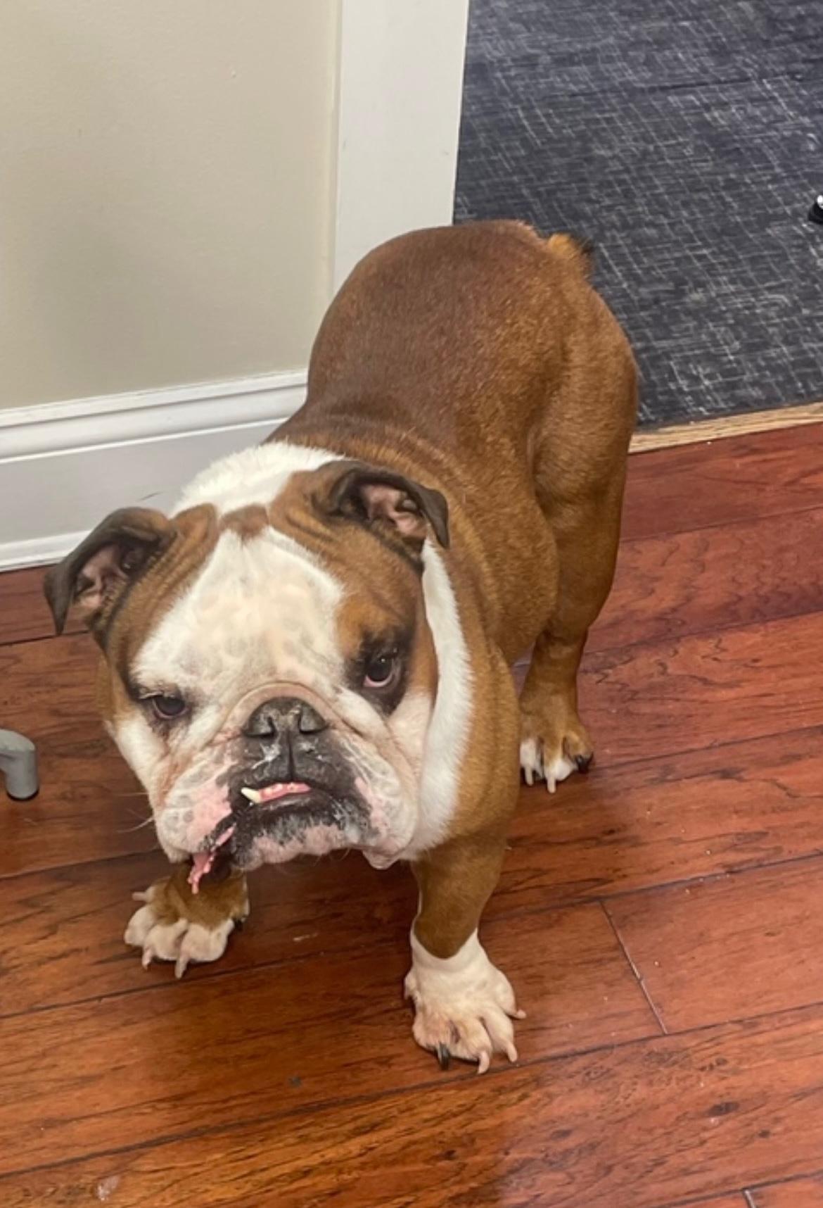 悬殊的写照 悬殊的写照