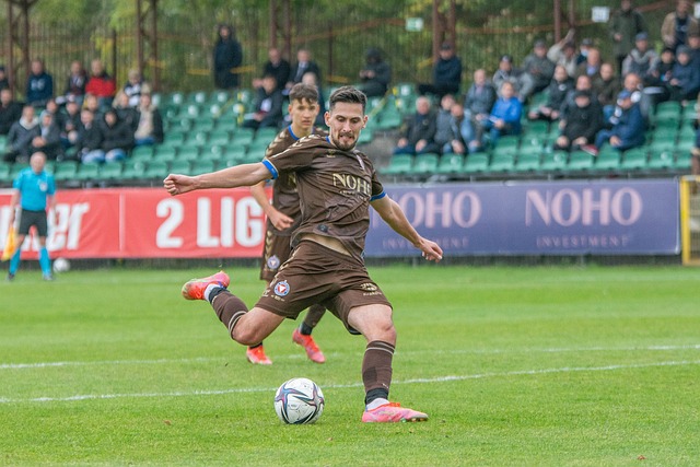 这种开放的 这种开放的