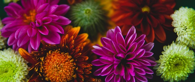 与团队韧性 与团队韧性