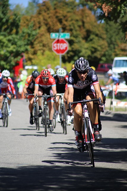 他们不仅赢 他们不仅赢